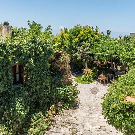 Loxandra Inn Kathikas Dış mekan fotoğraf