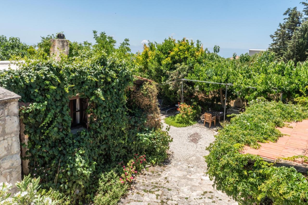 Loxandra Inn Kathikas Dış mekan fotoğraf