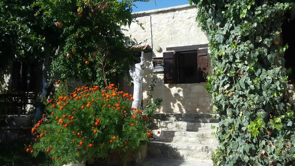 Loxandra Inn Kathikas Dış mekan fotoğraf