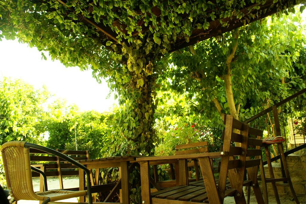 Loxandra Inn Kathikas Dış mekan fotoğraf