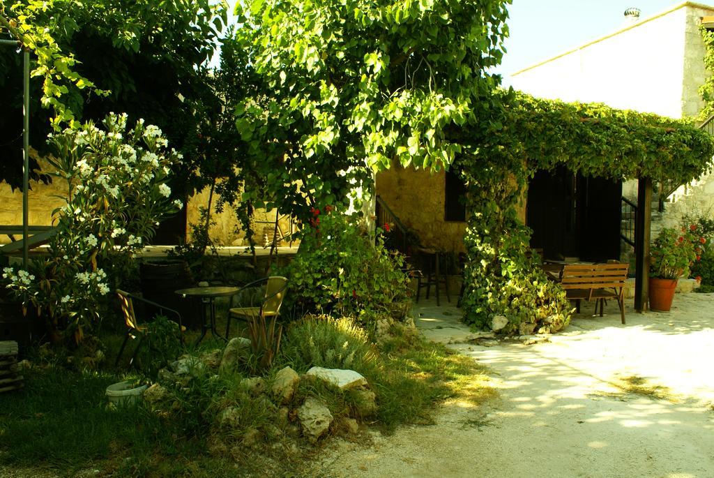 Loxandra Inn Kathikas Dış mekan fotoğraf