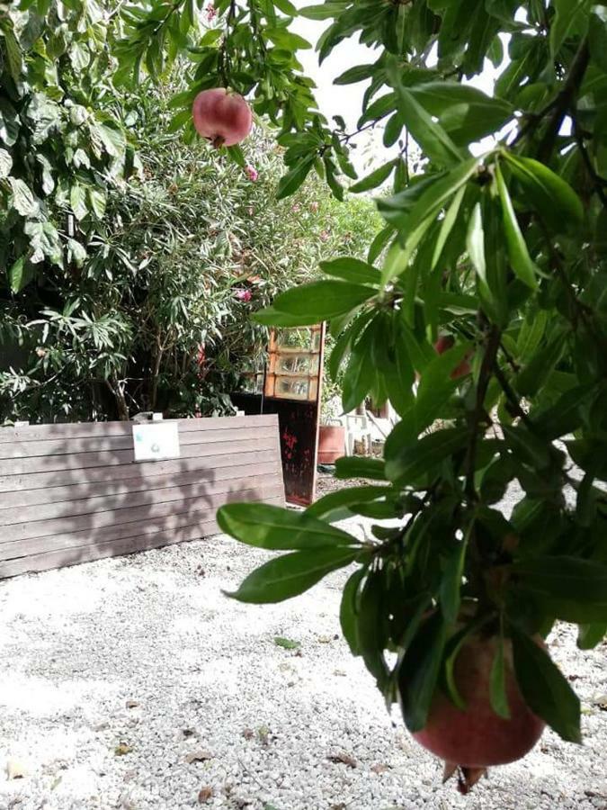 Loxandra Inn Kathikas Dış mekan fotoğraf