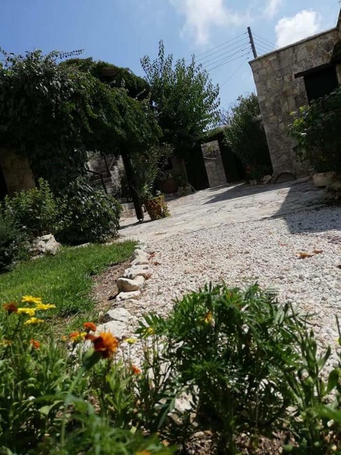 Loxandra Inn Kathikas Dış mekan fotoğraf