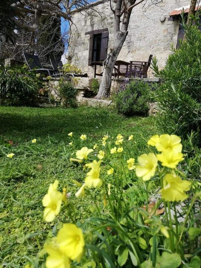 Loxandra Inn Kathikas Dış mekan fotoğraf