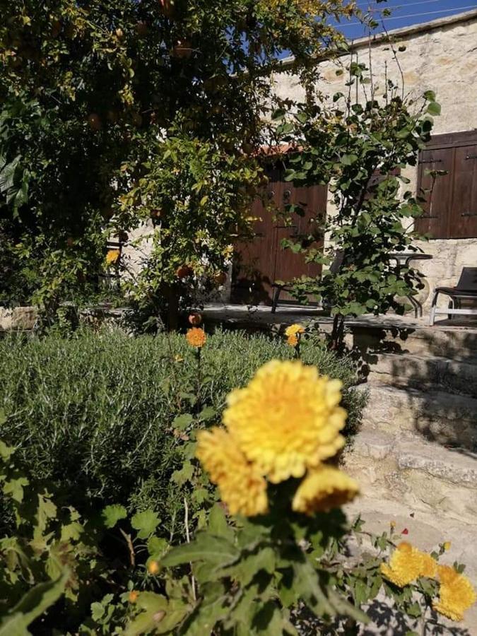 Loxandra Inn Kathikas Dış mekan fotoğraf